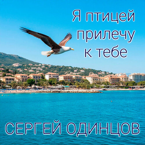 Сергей Одинцов - Я птицей прилечу к тебе
