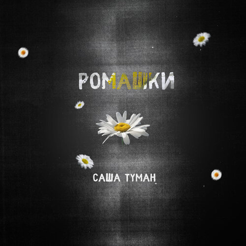 Саша Туман - Ромашки