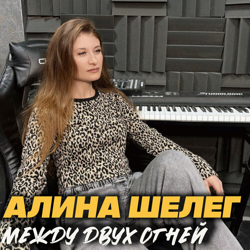Алина Шелег - Между двух огней