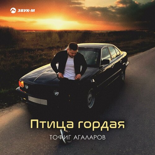 Тофиг Агаларов - Птица гордая