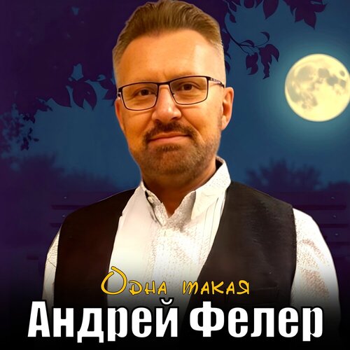 Андрей Фелер - Одна такая