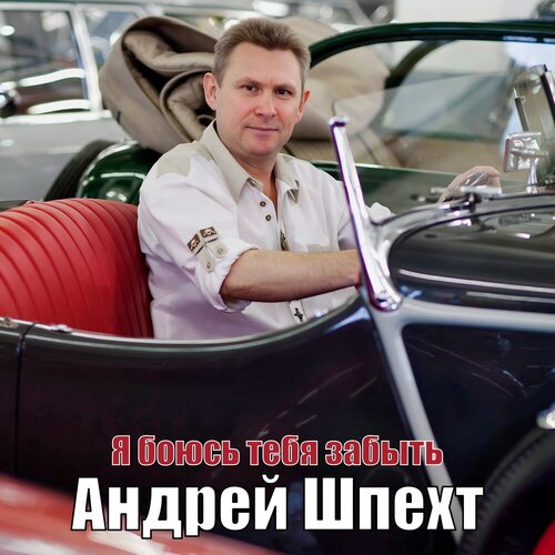 Андрей Шпехт - Я боюсь тебя забыть
