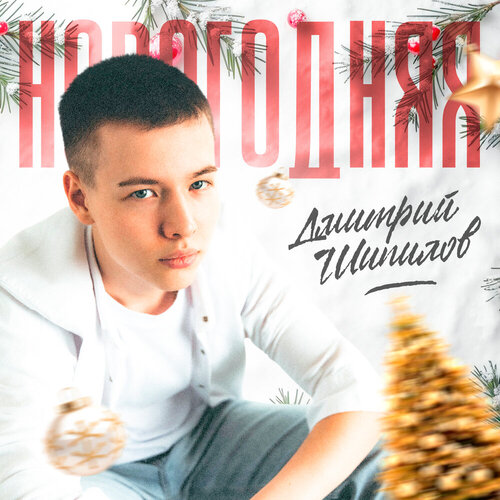 Дмитрий Шипилов - Новогодняя