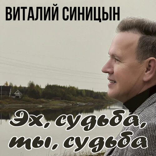 Виталий Синицын - Эх, судьба, ты, судьба