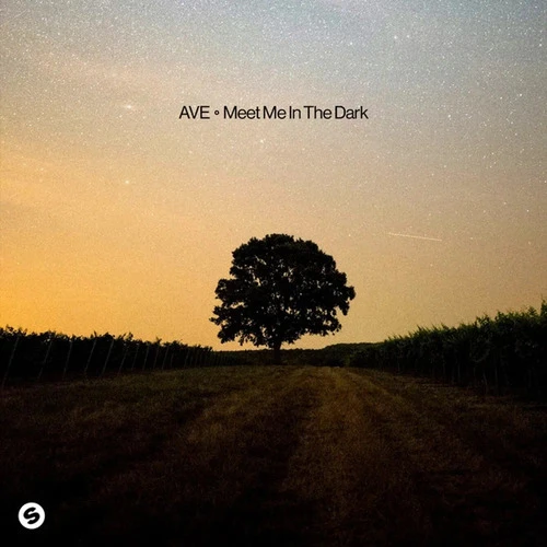 Ave - Meet Me In The Dark.mp3 • слушать в хорошем качестве