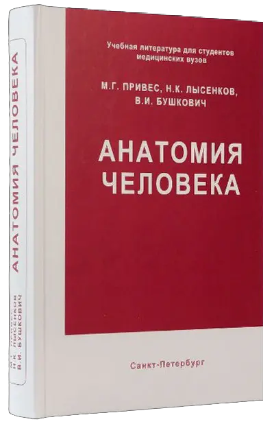 М.Г. Привес, Н.К. Лысенков, В.И. Бушкович | Анатомия человека (2006) [