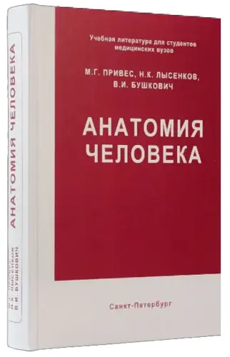 М.Г. Привес, Н.К. Лысенков, В.И. Бушкович | Анатомия человека (2006) [