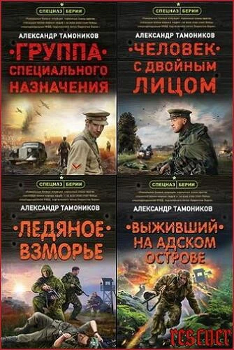 Александр Тамоников - Серия «Спецназ Берии. Герои секретной войны» [35